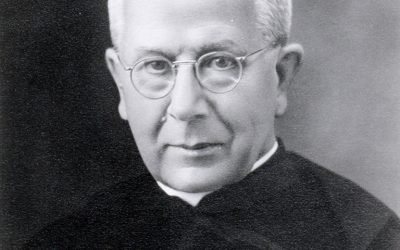 P. Johan Stein, S.J.