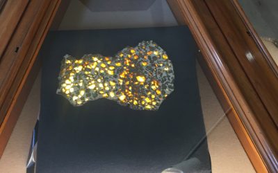 Section 1 – Pallasite Meteorite, Imilac